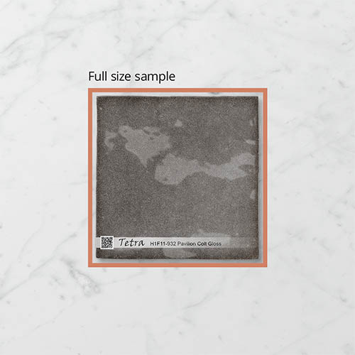 H1F11-1C2